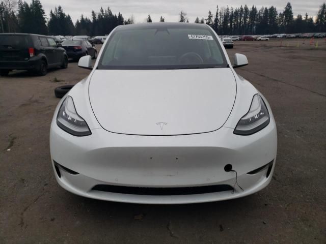 2020 Tesla Model Y