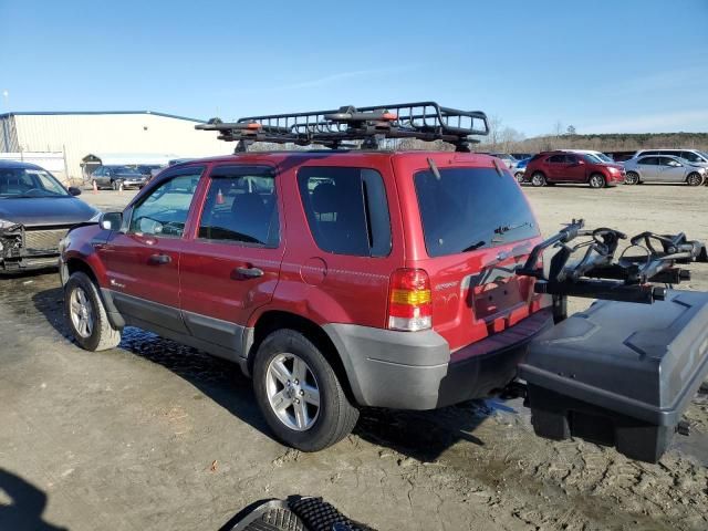 2006 Ford Escape HEV