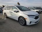 2021 Honda Odyssey EXL