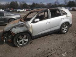 Salvage cars for sale at Madisonville, TN auction: 2013 KIA Sorento EX