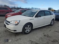 2004 Chevrolet Malibu Maxx LT en venta en Duryea, PA