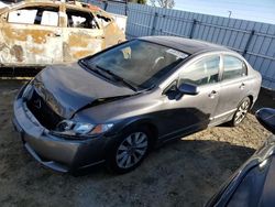 Salvage cars for sale at American Canyon, CA auction: 2009 Honda Civic EXL