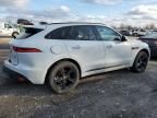 2020 Jaguar F-PACE Checkered Flag