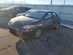 Toyota salvage cars for sale: 2011 Toyota Corolla Base