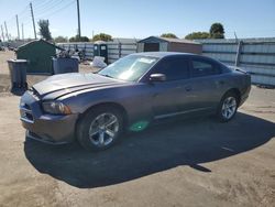 Salvage cars for sale at Miami, FL auction: 2014 Dodge Charger SE