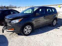 Salvage cars for sale at Walton, KY auction: 2016 Ford Escape S