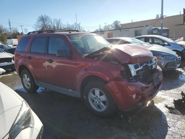 2010 Ford Escape XLT