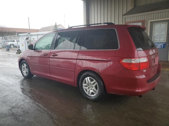 2005 Honda Odyssey EXL