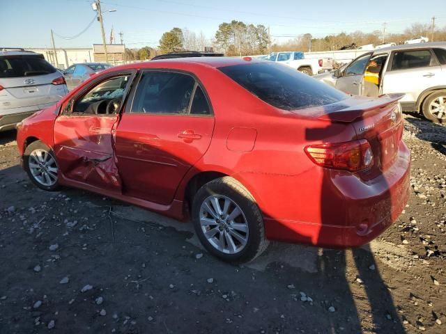 2010 Toyota Corolla Base