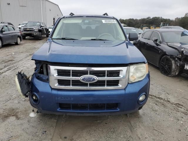 2008 Ford Escape XLT