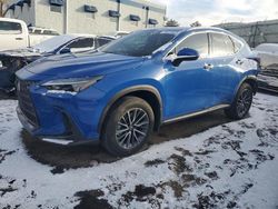 2023 Lexus NX 350H en venta en Albuquerque, NM