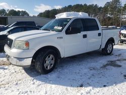 Salvage cars for sale at Seaford, DE auction: 2004 Ford F150 Supercrew