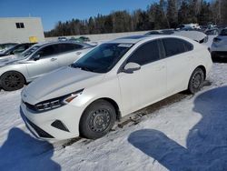 Salvage cars for sale at auction: 2024 KIA Forte EX