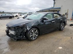 Salvage cars for sale at Memphis, TN auction: 2021 Nissan Maxima SV