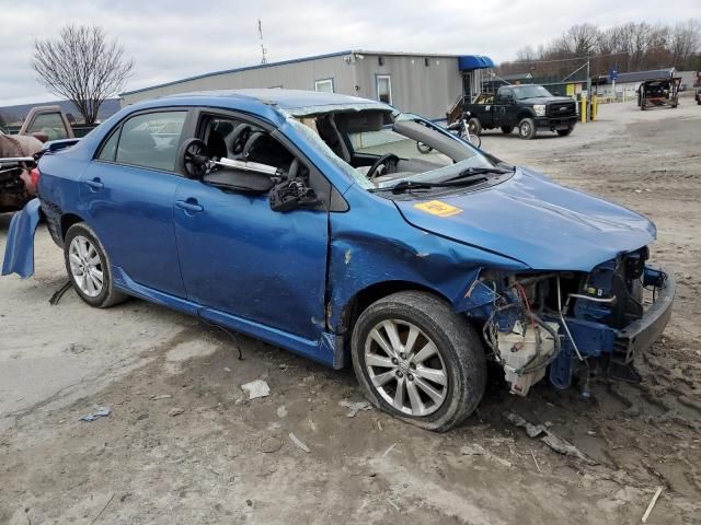 2010 Toyota Corolla Base