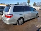 2005 Honda Odyssey EX