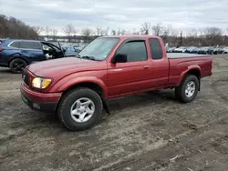 Salvage cars for sale at Marlboro, NY auction: 2004 Toyota Tacoma Xtracab