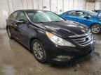 2014 Hyundai Sonata SE