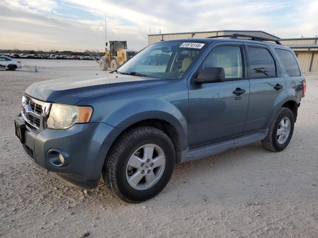 2010 Ford Escape XLT