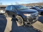 2014 Ford Edge Sport