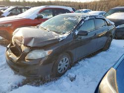 Toyota Vehiculos salvage en venta: 2010 Toyota Corolla Base