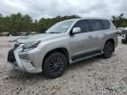 2020 Lexus GX 460 Premium