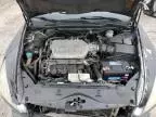 2003 Honda Accord EX