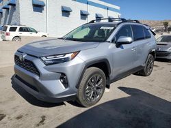 Salvage cars for sale at Albuquerque, NM auction: 2023 Toyota Rav4 XLE Premium