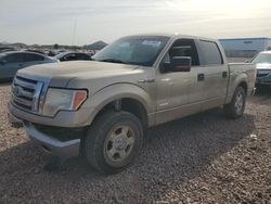 Salvage cars for sale at auction: 2011 Ford F150 Supercrew