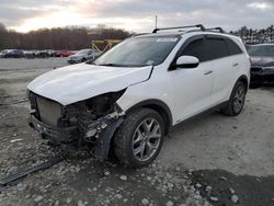 Salvage cars for sale at Windsor, NJ auction: 2019 KIA Sorento EX