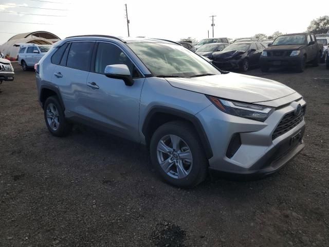 2024 Toyota Rav4 XLE