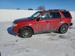 Salvage cars for sale from Copart Portland, MI: 2011 Ford Escape XLT