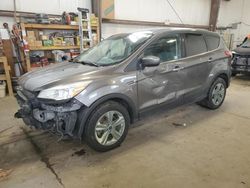 Salvage SUVs for sale at auction: 2013 Ford Escape SE