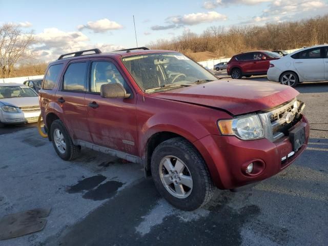 2008 Ford Escape XLT