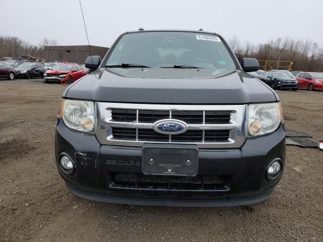 2012 Ford Escape XLT