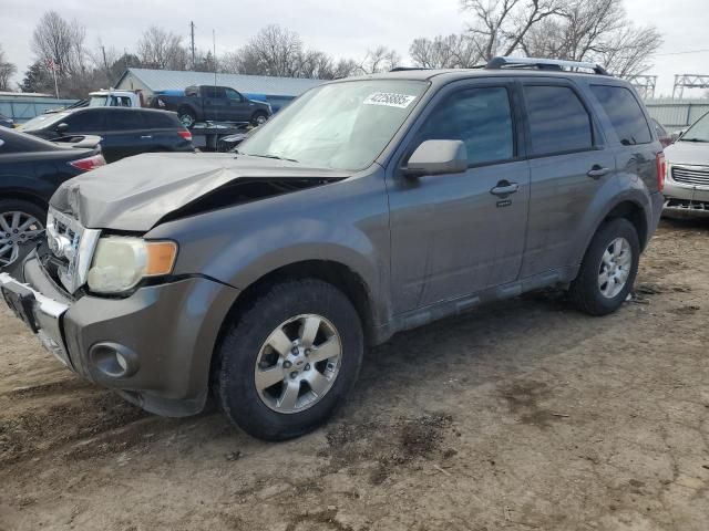 2011 Ford Escape Limited