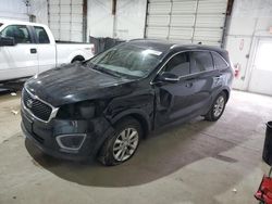 Salvage cars for sale at Lexington, KY auction: 2016 KIA Sorento LX