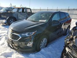 Salvage cars for sale from Copart Cahokia Heights, IL: 2019 Chevrolet Equinox LT