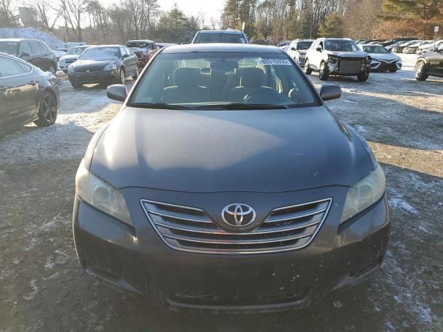 2009 Toyota Camry Hybrid