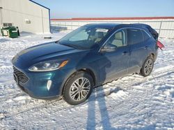 Salvage cars for sale at Rapid City, SD auction: 2020 Ford Escape SEL