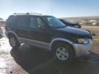 2007 Ford Escape XLT