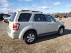 2008 Ford Escape Limited