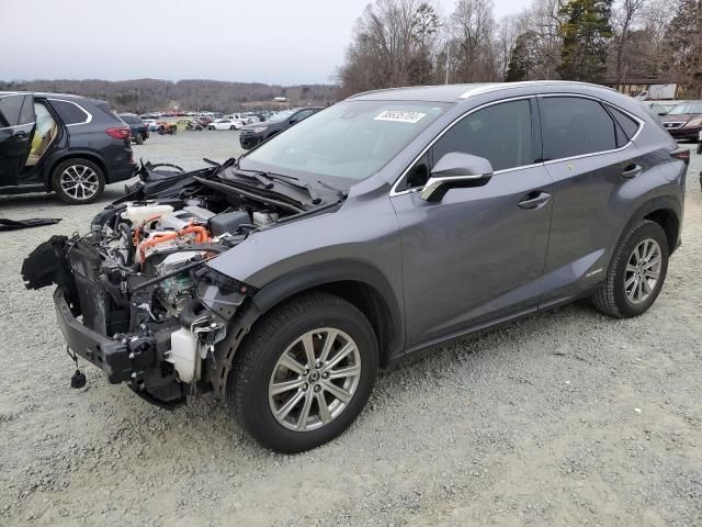 2021 Lexus NX 300H Base