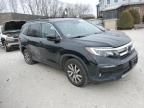 2019 Honda Pilot EXL