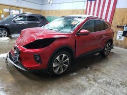 Ford Escape pla salvage cars for sale: 2024 Ford Escape Platinum