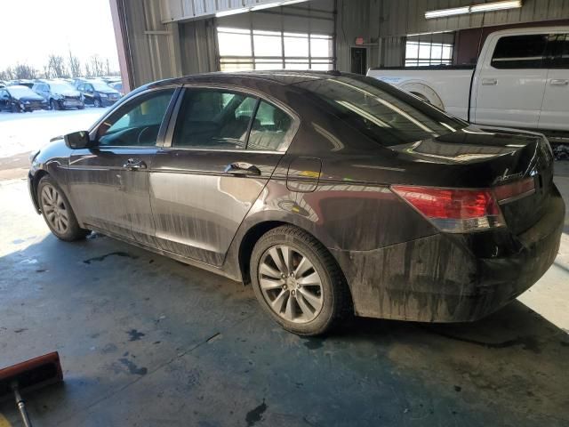 2011 Honda Accord EXL