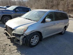 Honda Odyssey salvage cars for sale: 2005 Honda Odyssey Touring