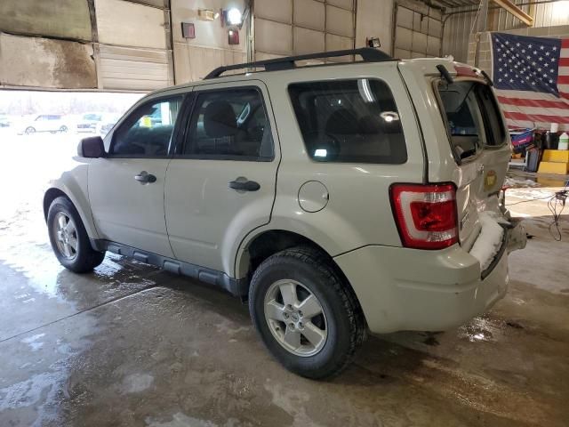 2009 Ford Escape XLS