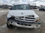 2002 Dodge Dakota Sport