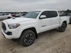 2023 Toyota Tacoma Double Cab